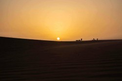 Happy Excursions - Image 62