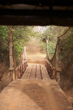 Happy Excursions - Image 14