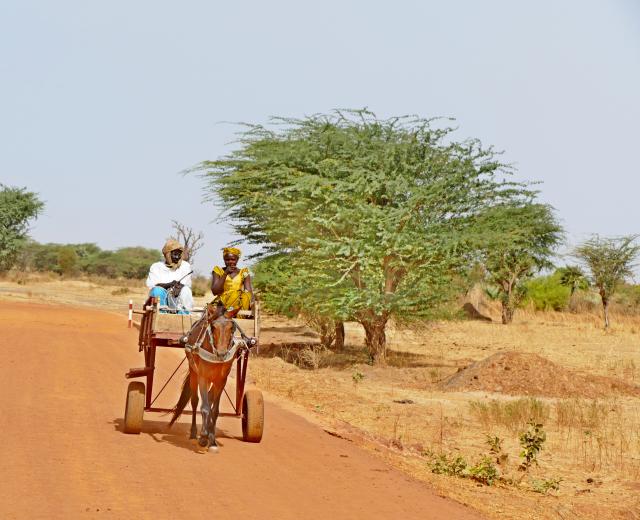 Excursion Journée Brousse et Village typique Sine et Saloum