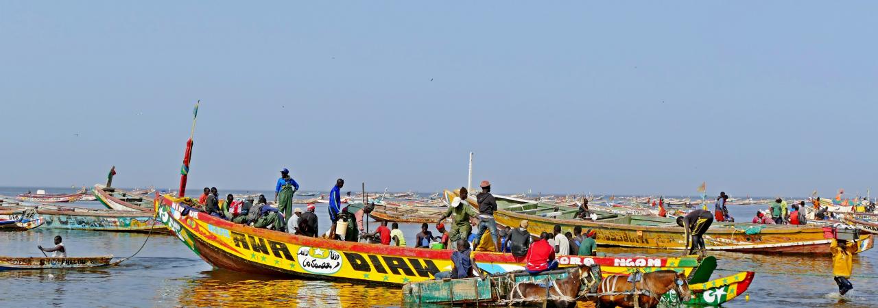 Excursion pêcheurs de Mbour