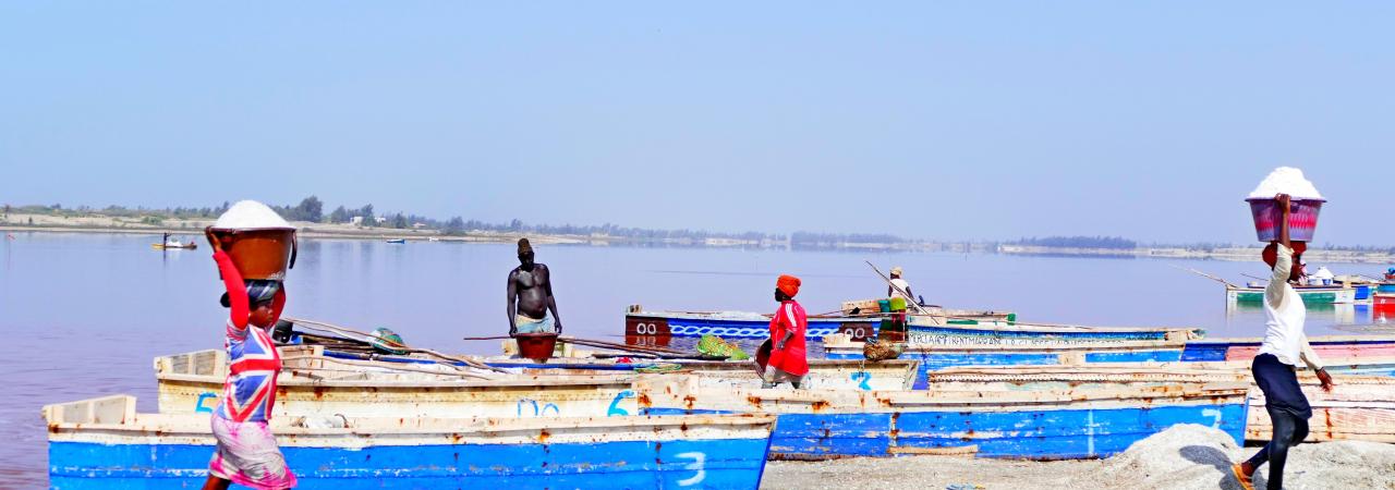 Excursion Dakar-Gorée et le Lac Rose