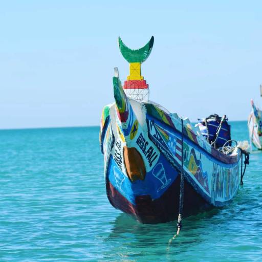 Excursion pêcheurs de Mbour