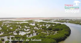 Galerie Happy Excursions