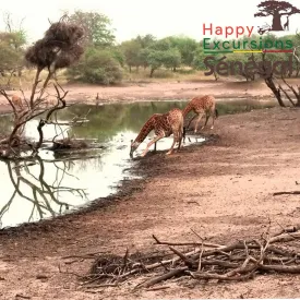 Galerie Happy Excursions