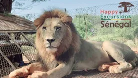 Galerie Happy Excursions