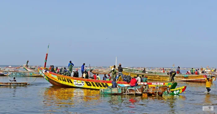 Excursion pêcheurs de Mbour