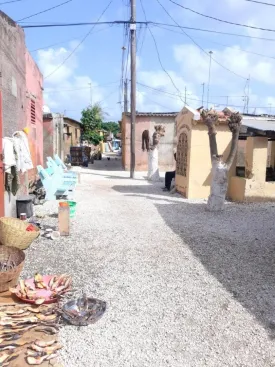Découverte de villages de brousses typiques et Île aux coquillages 1