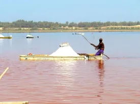 Excursion Dakar-Gorée et le Lac Rose 15