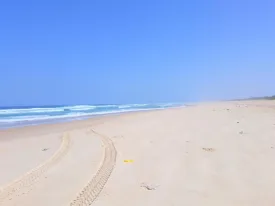 Excursion Dakar-Gorée et le Lac Rose 20