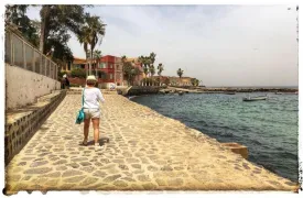 Excursion Dakar-Gorée et le Lac Rose 28