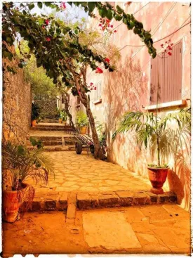 Excursion Dakar-Gorée et le Lac Rose 30