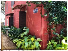 Excursion Dakar-Gorée et le Lac Rose 33
