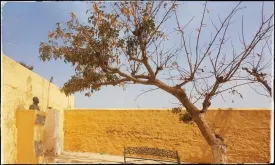 Excursion Dakar-Gorée et le Lac Rose 34