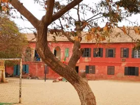 Excursion Dakar-Gorée et le Lac Rose 42