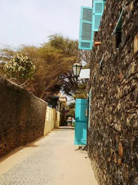 Excursion Dakar-Gorée et le Lac Rose 45