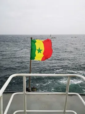 Excursion Dakar-Gorée et le Lac Rose 47