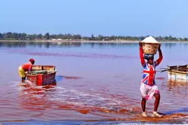 Excursion Dakar-Gorée et le Lac Rose 6