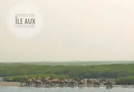 Excursion demi-journée Île aux coquillages 9