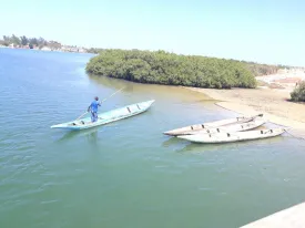 Excursion demi-journée Île aux coquillages 3