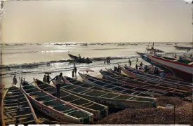Excursion pêcheurs de Mbour 20