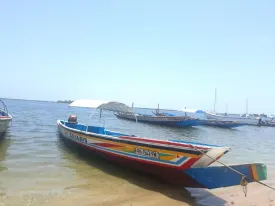 Excursion Journée Brousse et Village typique Sine et Saloum 21