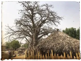 Excursion Journée Brousse et Village typique Sine et Saloum 27