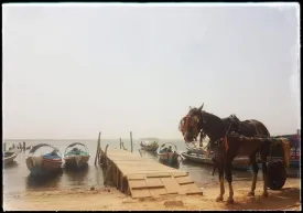 Excursion Journée Brousse et Village typique Sine et Saloum 29