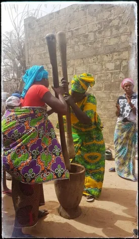 Excursion Journée Brousse et Village typique Sine et Saloum 35