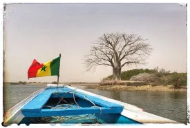 Excursion Journée Brousse et Village typique Sine et Saloum 40