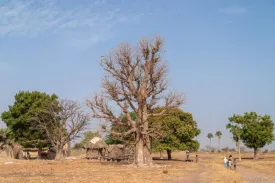 Excursion Journée Brousse et Village typique Sine et Saloum 49