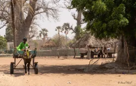 Excursion Journée Brousse et Village typique Sine et Saloum 51