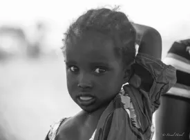 Excursion Journée Brousse et Village typique Sine et Saloum 55