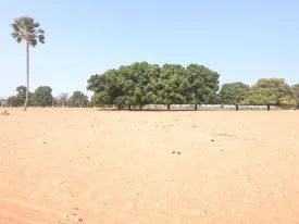 Excursion Journée Brousse et Village typique Sine et Saloum 5