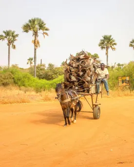 Excursion Journée Brousse et Village typique Sine et Saloum 7