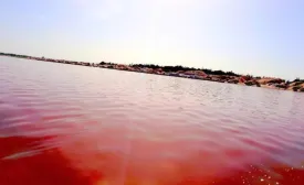 Lac Rose 2