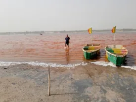Lac Rose 6