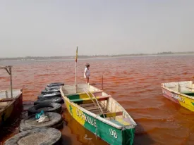Lac Rose 8