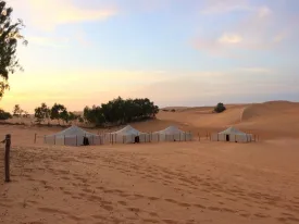 Nuit dans le désert de Lompoul 7