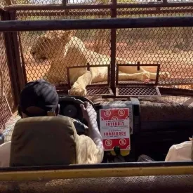 Ranch aux Lions 1