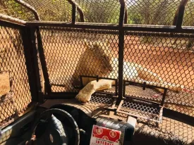 Ranch aux Lions 8